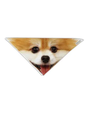 Adorable Pomeranian 1 Adult 19&#x22; Square Bandana All Over Print