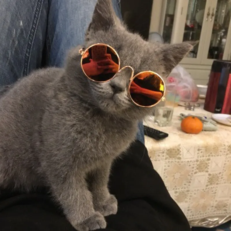 Cat Sunglasses Lovely Vintage Round Pet Glasses Reflection Dog Sunglasses Pet Eye Wear Glasses Funny Photos Props Accessories