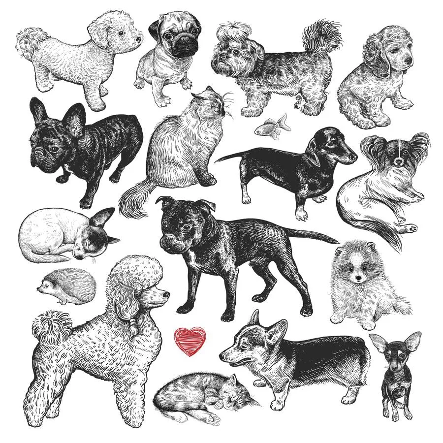 Just Pouch 250 Piece Wooden Puzzles