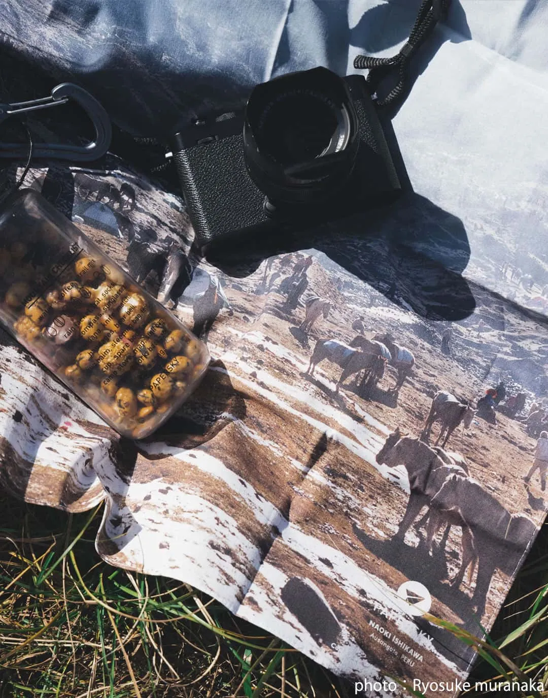 Mountain Bandana