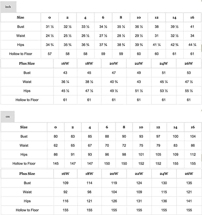 Women's Long Sleeve Bridesmaid Dresses for Wedding Chiffon Pleated Empire Waist Long Formal Evening Gown